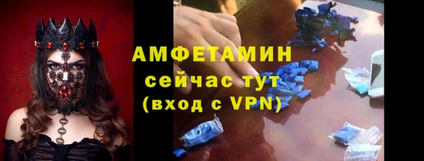 индика Горно-Алтайск