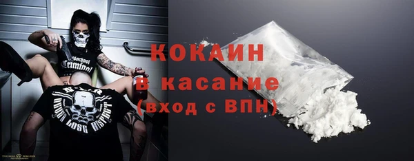индика Горно-Алтайск