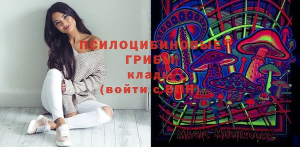 героин Горняк