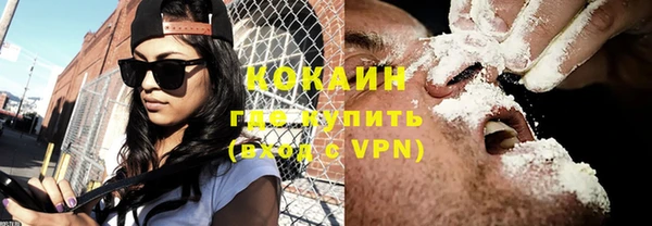 индика Горно-Алтайск