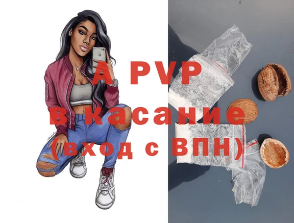 индика Горно-Алтайск