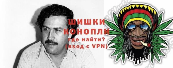 mix Гусиноозёрск
