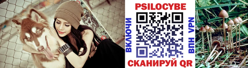 Купить закладки  Афипский  Галлюциногенные грибы Cubensis 